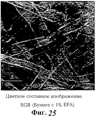 Волокна из зерен растений и их использование (патент 2278914)