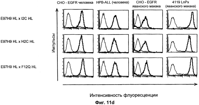 Cd3-эпсилон-связывающий домен с межвидовой специфичностью (патент 2561457)