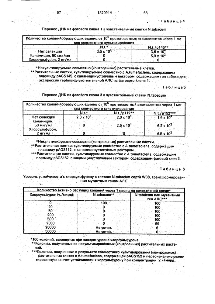 Способ получения двудольных растений, устойчивых к сульфонилмочевине (патент 1820914)