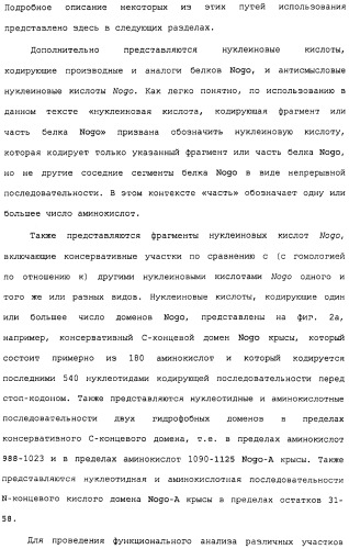 Поликлональное антитело против nogo, фармацевтическая композиция и применение антитела для изготовления лекарственного средства (патент 2432364)