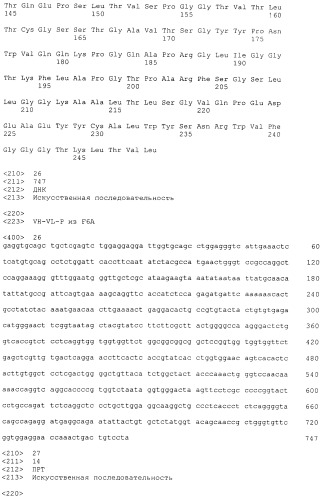 Pscaxcd3, cd19xcd3, c-metxcd3, эндосиалинxcd3, epcamxcd3, igf-1rxcd3 или fap-альфаxcd3 биспецифическое одноцепочечное антитело с межвидовой специфичностью (патент 2547600)