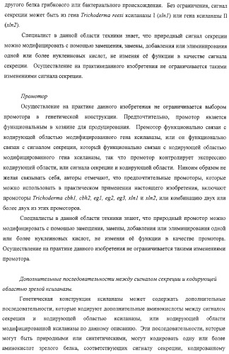 Модифицированная ксиланаза (патент 2394909)