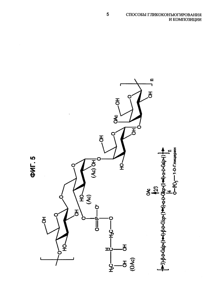 Способы гликоконъюгирования и композиции (патент 2645071)
