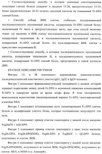 Fc-эритропоэтин слитый белок с улучшенной фармакокинетикой (патент 2370276)