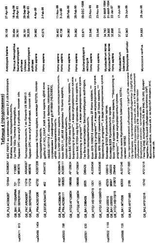 Гены corynebacterium glutamicum, кодирующие белки, участвующие в гомеостазе и адаптации (патент 2304616)