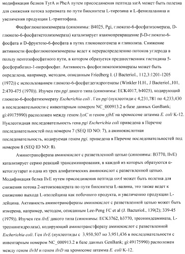 Способ получения аминокислот с использованием бактерии, принадлежащей к роду escherichia (патент 2396336)