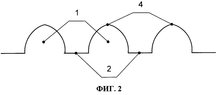 Способ выращивания лука шалот (патент 2479183)