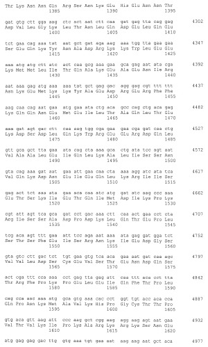 Пептидные вакцины против рака с экспрессией полипептидов mphosph1 или depdc1 (патент 2469044)