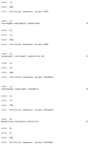 Новая эндо-(1-4)- -d-ксиланаза из penicillium canescens (варианты), фрагмент днк, кодирующий секретируемую эндо-(1-4)- -d-ксиланазу из penicillium canescens (варианты), и способ ее получения (патент 2412246)