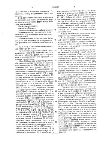 Рекомбинантная плазмидная днк рва1418, кодирующая альфа- амилазу bacillus amyloliquefaciens и штамм-бактерий bacillus amyloliquefaciens - продуцент альфа-амилазы bacillus amyloliquefaciens (патент 2003689)