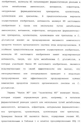 Гены corynebacterium glutamicum, кодирующие белки метаболических путей (патент 2306339)