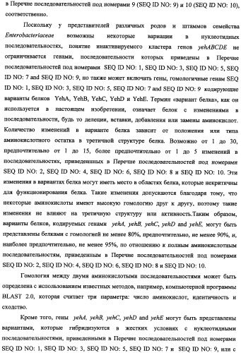 Способ получения l-треонина и l-аргинина с использованием бактерии, принадлежащей к роду escherichia, в которой инактивирован кластер генов yehabcde (патент 2337960)