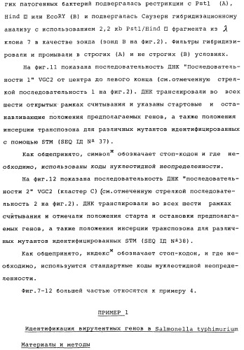 Vgc2 днк salmonella typhimurium, мутантная бактерия, обладающая пониженной способностью к адаптации к условиям окружающей среды, и способ ее получения (патент 2370541)