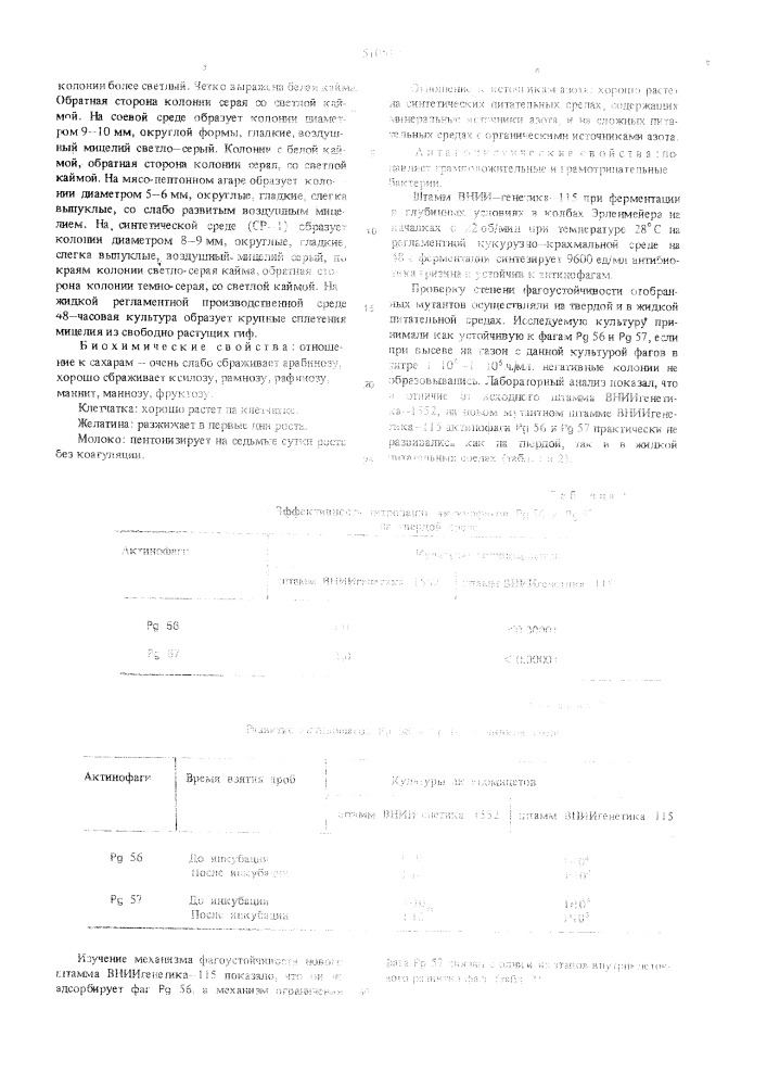 Штамм вниигенетика-115-продуцент кормогризина (патент 510512)