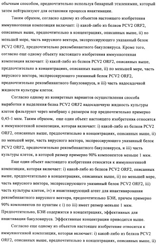 Поливалентные иммуногенные композиции pcv2 и способы получения таких композиций (патент 2488407)