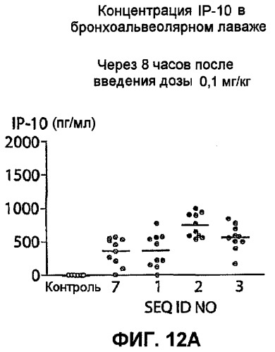 Полумягкие иммуностимулирующие олигонуклеотиды с-класса (патент 2393223)