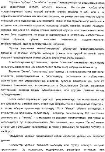 Использование уреазы для ингибирования роста раковых клеток (патент 2326691)