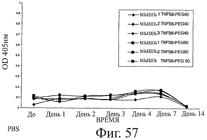 Улучшенные нанотела против фактора некроза опухоли-альфа (патент 2464276)