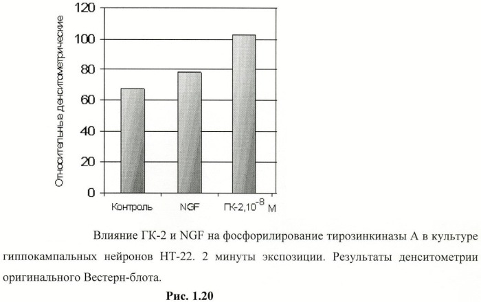 Дипептидные миметики нейротрофинов ngf и bdnf (патент 2410392)