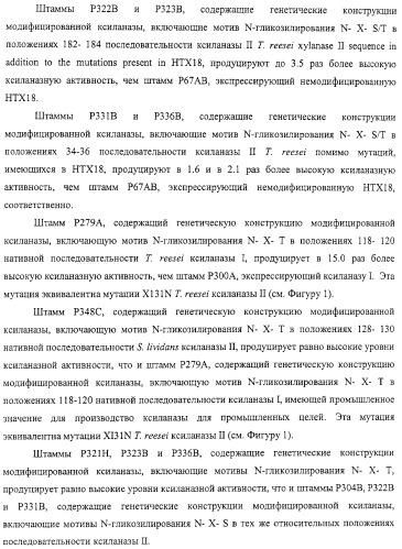 Модифицированная ксиланаза (патент 2394909)