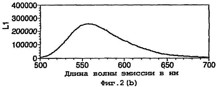 Рекомбинантная термостабильная люцифераза, способ ее получения, изолированная нуклеиновая кислота, экспрессирующий вектор, набор для использования в биолюминесцентном анализе, аналитический тест для определения присутствия в образце соа (патент 2251571)