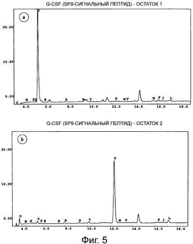 Способ получения рекомбинантного человеческого g-csf (патент 2563536)