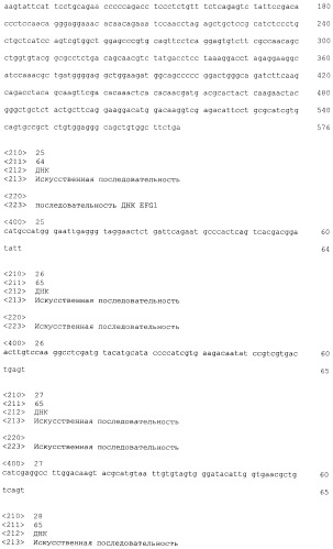 Производство белков (патент 2429243)