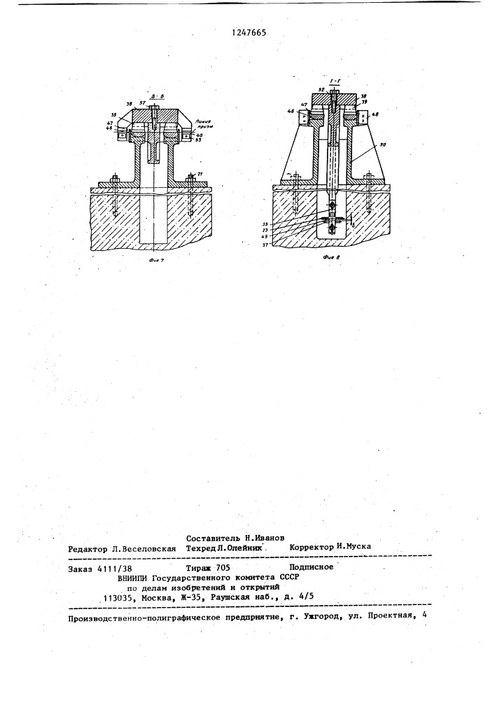 Платформенные весы (патент 1247665)