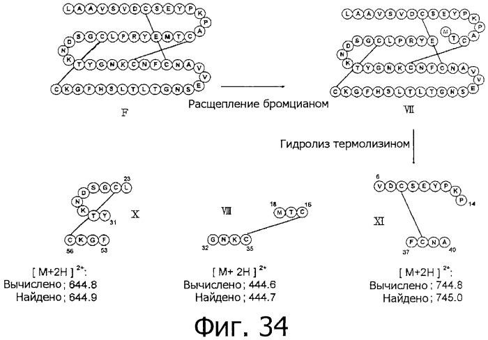 Способ получения гликопротеина и способ скрининга (патент 2520240)