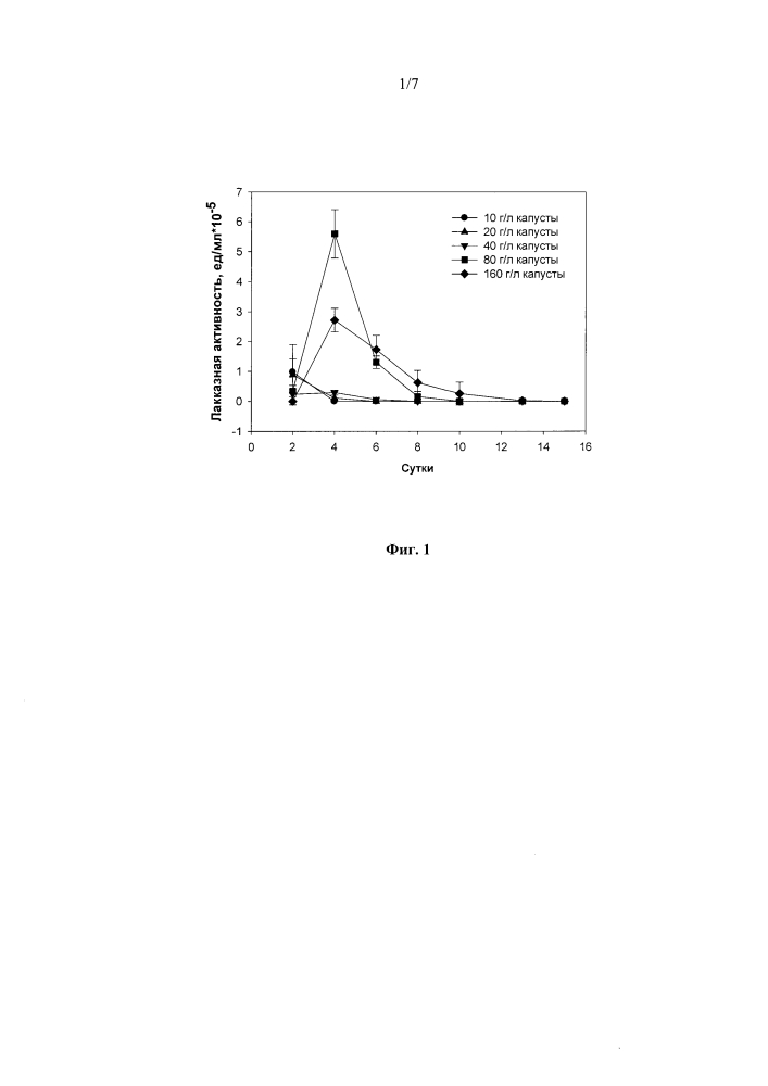 Штамм rhizoctonia solani f-895 - продуцент алкалофильных лакказ, активных с фенилпропаноидами (патент 2647767)