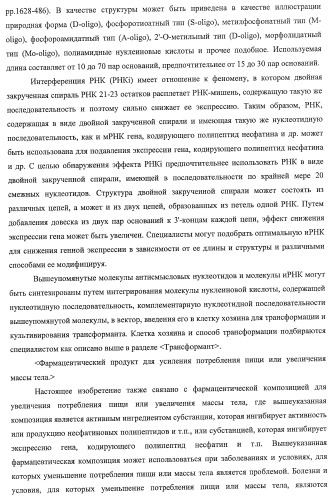 Способ получения фактора, связанного с контролем над потреблением пищи и/или массой тела, полипептид, обладающий активностью подавления потребления пищи и/или прибавления в весе, молекула нуклеиновой кислоты, кодирующая полипептид, способы и применение полипептида (патент 2418002)