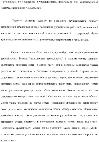 Растения с повышенной урожайностью и способ их получения (патент 2377306)