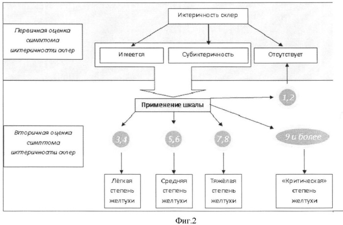 Способ оценки симптома иктеричности склер (патент 2362479)