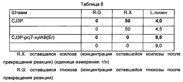 Микроорганизмы corynebacterium, способные утилизировать ксилозу, и способ получения l-лизина с применением таких микроорганизмов (патент 2584593)