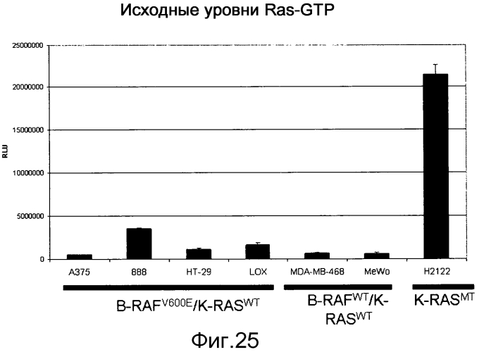 Определение чувствительности клеток к обработке ингибитором b-raf путем детекции мутации k-ras и уровней экспрессии rtk (патент 2553379)