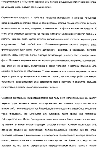 Новый ген элонгазы и способ получения полиненасыщенных кислот жирного ряда (патент 2311457)