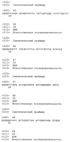 Трансгенные копытные животные, имеющие пониженную активность прионного белка, и их применения (патент 2384059)