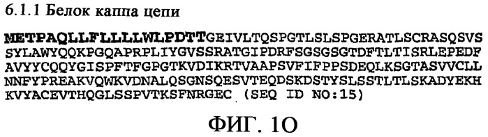 Применение антител к ctla-4 (патент 2346702)
