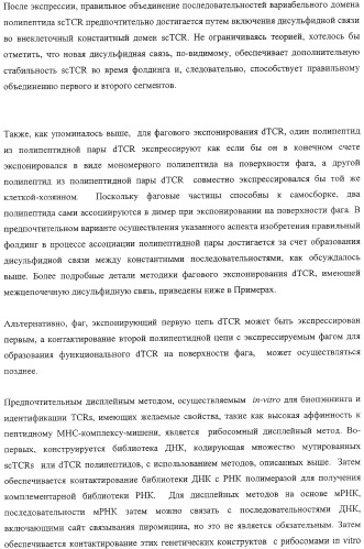 Экспонирование т-клеточных рецепторов (патент 2346004)