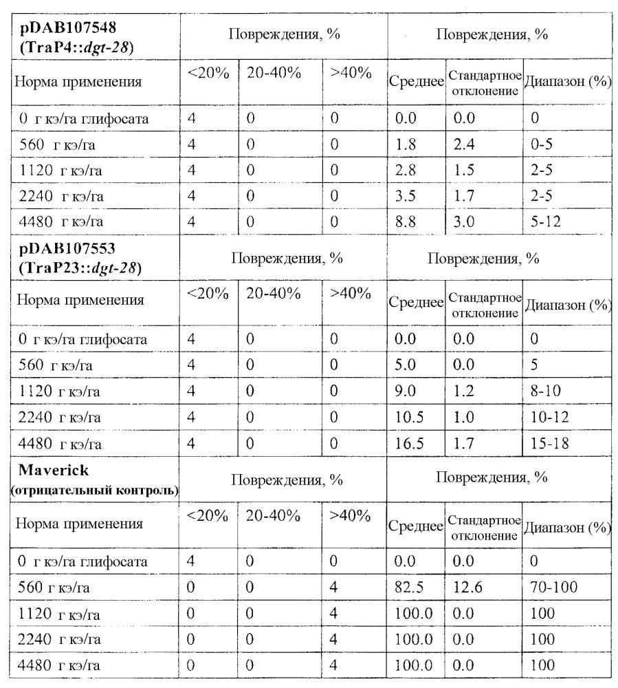 Синтетические транзитные пептиды хлоропласта из brassica (патент 2636035)