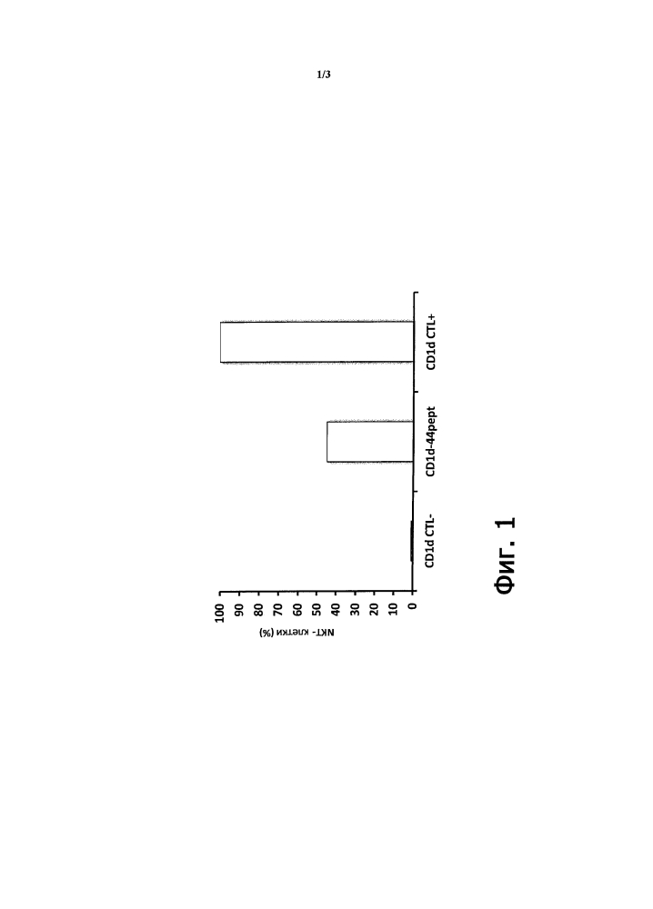 Изменение иммуногенности антигена путем устранения эпитопов, узнаваемых nkt-клетками (патент 2598247)