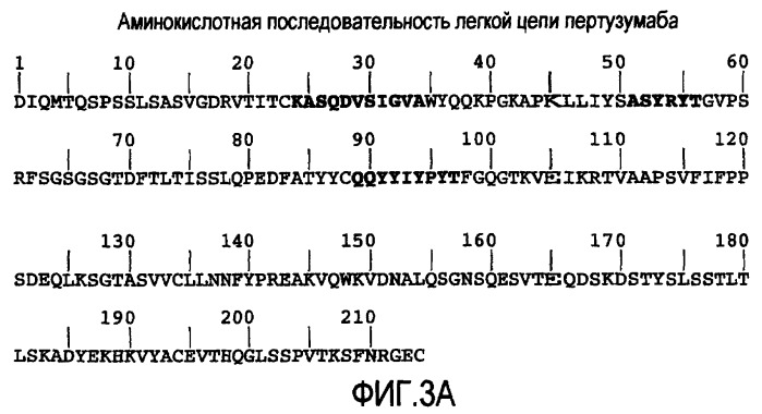 Композиции антител (патент 2426554)