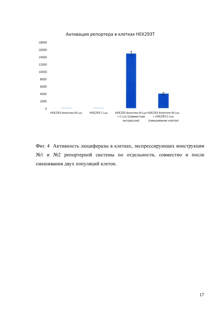Репортерная система на основе лентивирусных репортерных конструкций для изучения белок-белковых взаимодействий (патент 2639539)