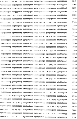 Бактериофаг, обладающий активностью против pseudomonas aeruginosa, белки бактериофага и способы их применения (патент 2580248)