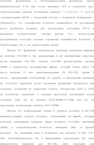 Нацеливание на антигенпрезентирующие клетки иммунонанотерапевтических средств (патент 2497542)