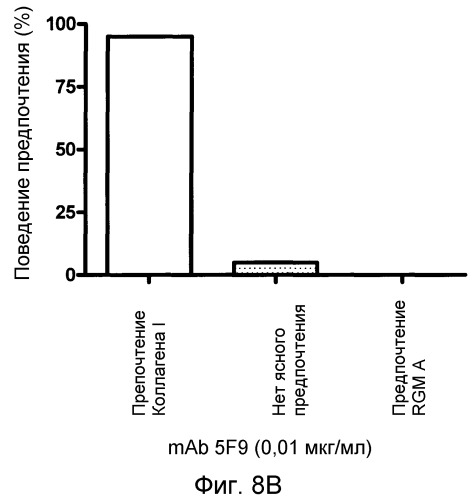 Моноклональные антитела против белка rgm а и их применение (патент 2524136)