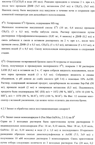 Твердофазное тегирование олигосахаридов: методика для манипуляции с иммобилизированными углеводами (патент 2398237)