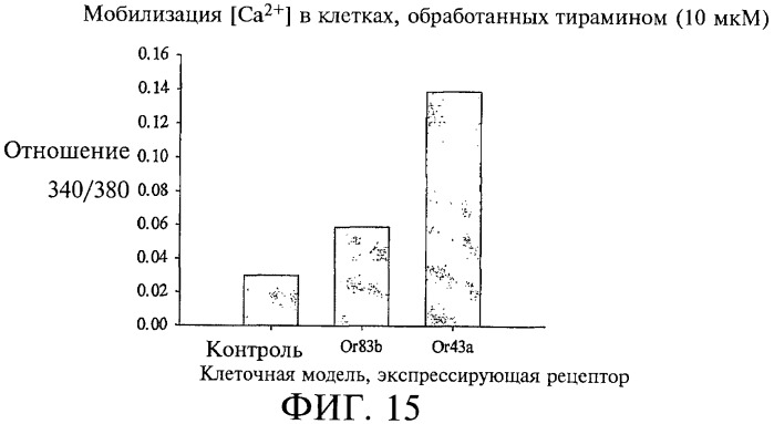 Композиции и способы борьбы с насекомыми (патент 2388225)