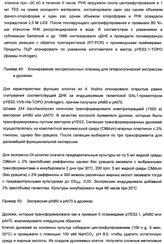 Способ получения полиненасыщенных кислот жирного ряда в трансгенных организмах (патент 2447147)