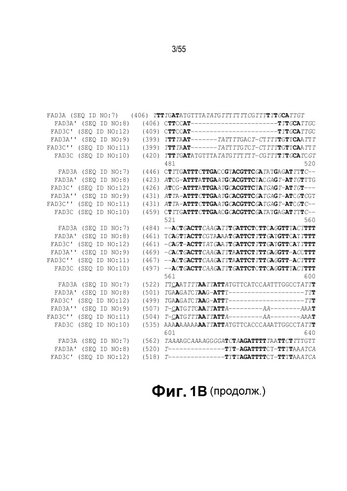 Локусы fad3 для выполнения операций и соответствующие связывающиеся со специфическими сайтами-мишенями белки, способные к вызову направленных разрывов (патент 2665811)